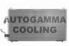 AUTOGAMMA 101581 Condenser, air conditioning